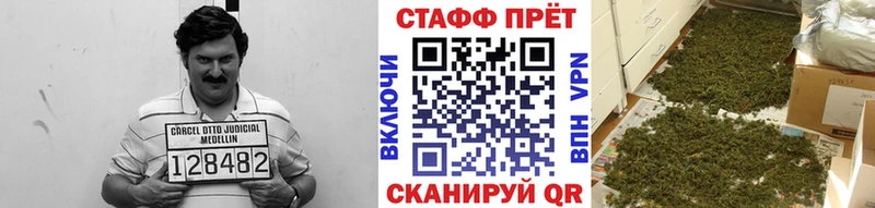 Виды наркоты Сольвычегодск Гашиш Альфа ПВП АМФ Каннабис Мефедрон