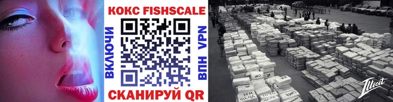 как найти закладки  Сольвычегодск  Кокаин Fish Scale 
