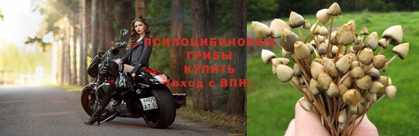 героин Абаза