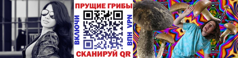 OMG ссылка  как найти наркотики  Сольвычегодск  Псилоцибиновые грибы ЛСД 